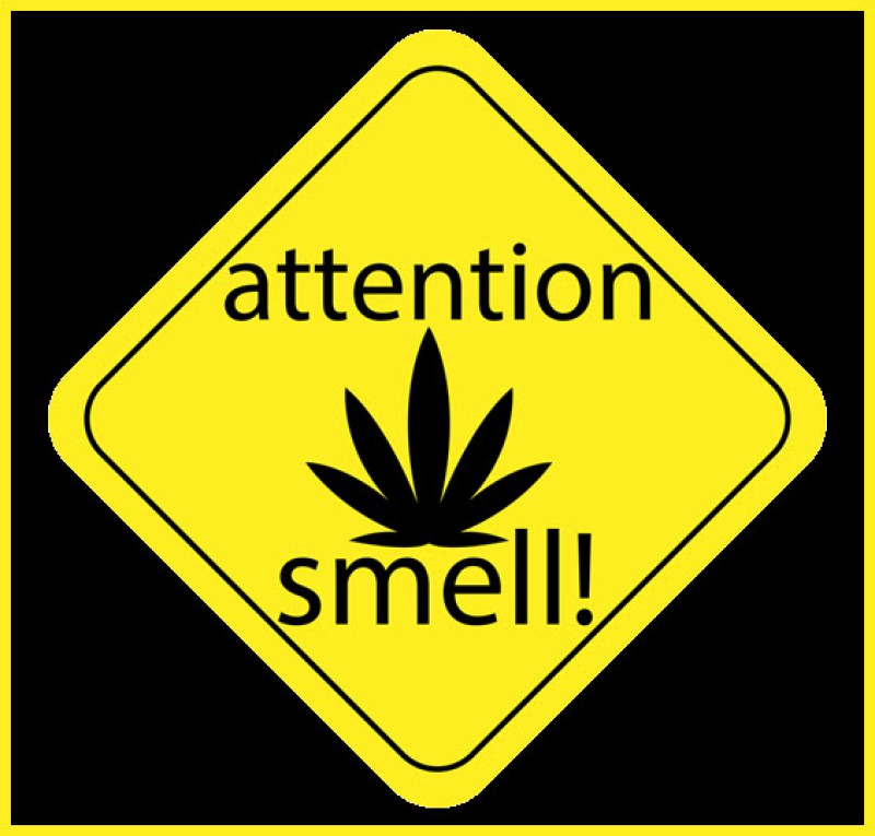 get rid of the smell of weed