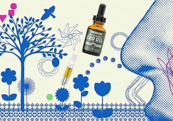 Could CBD Help Relieve Allergy Symptoms?