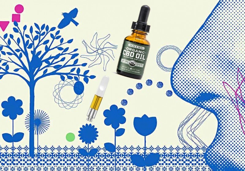Does CBD help with allergies