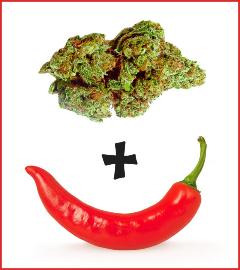hot pepper and cannabis
