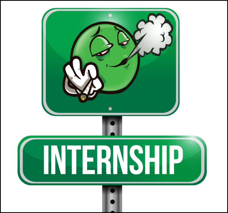 cannabis internships