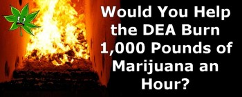Would You Help the DEA Burn 1,000 Pounds of Marijuana an Hour?