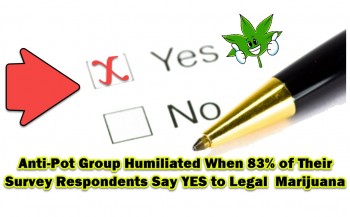 Prohibitionist Poll Results A Flop: 83% Want Cannabis Reform