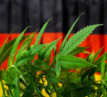Will the German Cannabis Market be Worth $100 Billion in the Next 5 Years?