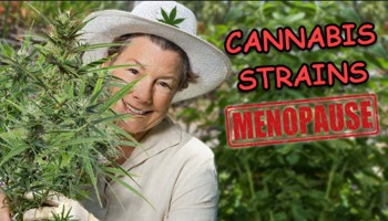 Cannabis Strains for Menopause