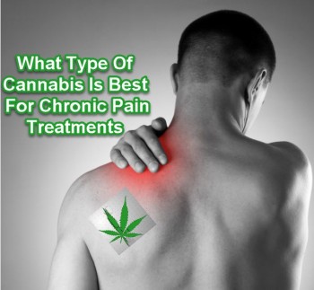 What Type Of Cannabis Is Best For Chronic Pain Treatments