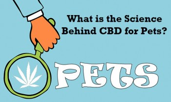 What is the Science Behind CBD for Pets?