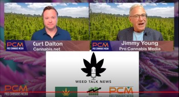The Marijuana Business News with Jimmy Young, Debra Borchardt, Solomon Israel, and Phil Adams