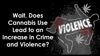 Wait, Does Cannabis Use Lead to a Rise in Crime and Violence?