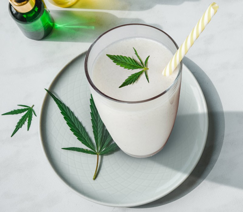 cannabis milkshake