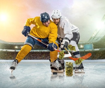 Hockey Players Ditching Post Game Beers for Cannabis Edibles and Playstations