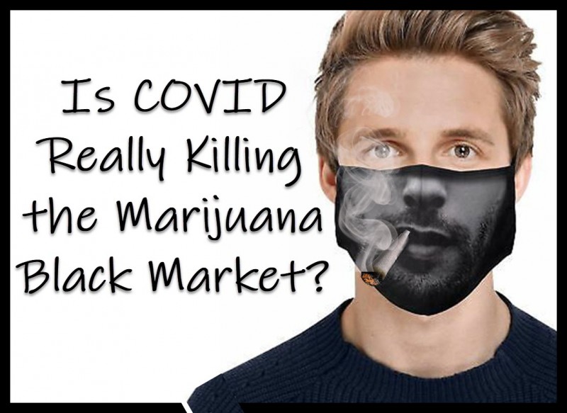covid cannabis black market