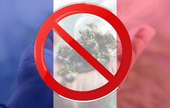 Sacre Bleu pour le Cannabis! - France Will Not Allow Cannabis Flower or Bud as Part of Their Medical Marijuana Program!