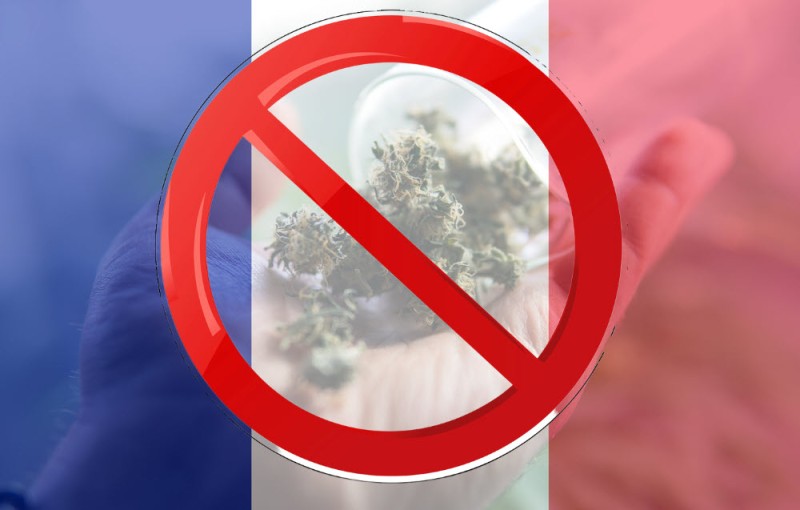 French medical marijuana program no flower
