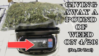 Giving Away A Pound of Weed On 4/20! (Yes, it’s true!)