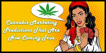 Cannabis Marketing Predictions That Are Now Coming True