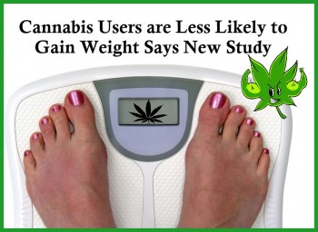 Cannabis Users are Less Likely To Gain Weight Says New Study