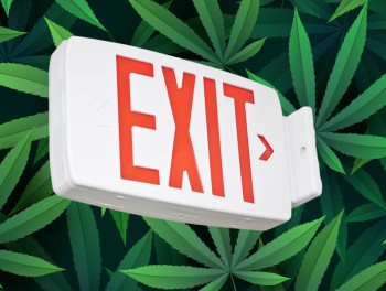 Arizona, Maryland, California, Massachusetts - Why Big Cannabis MSOs Are Closing Up Shop ASAP in Major States!