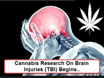 Cannabis for Traumatic Brain Injuries (TBI) Trials Have Started