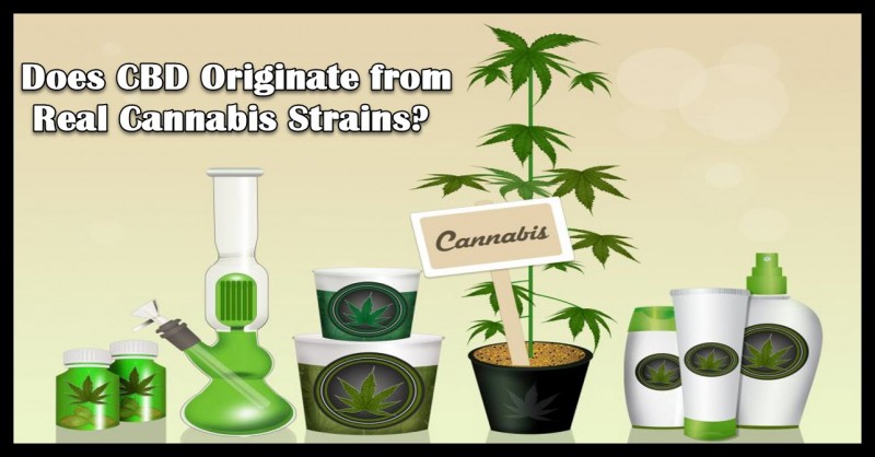 An illustration of various cannabis products