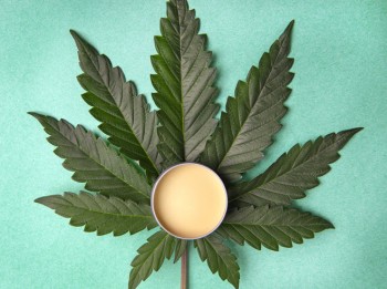 What are the Top 5 CBD Salve Products Headed into 2022 (Sponsored)