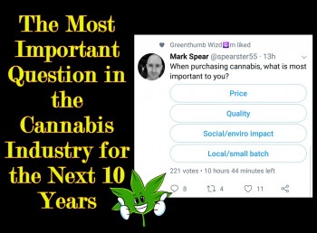 The Most Important Question in the Cannabis Industry for the Next 10 Years