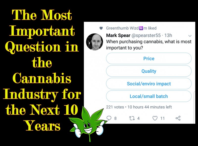 What is important when you buy cannabis?