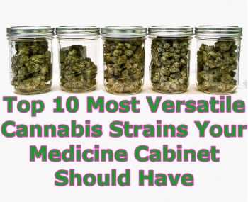 10 All Purpose Cannabis Strains To Cover Almost Anything