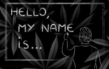 The NIDA Just Proposed a Subtle Name Change - Does That Mean Cannabis and Psychedelic Legalization is Now Imminent?