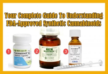 Your Complete Guide To Understanding FDA-Approved Synthetic Cannabinoids