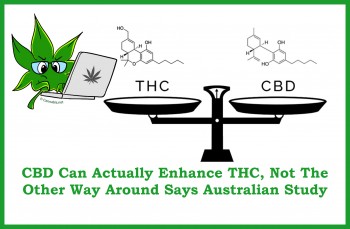 CBD Can Actually Enhance THC, Not The Other Way Around Says Australian Study