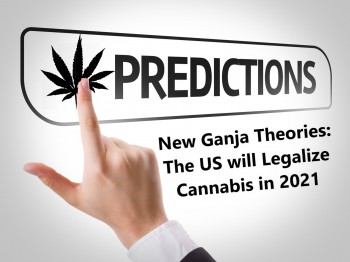 New Ganja Theories: The US will Legalize Cannabis in 2021?