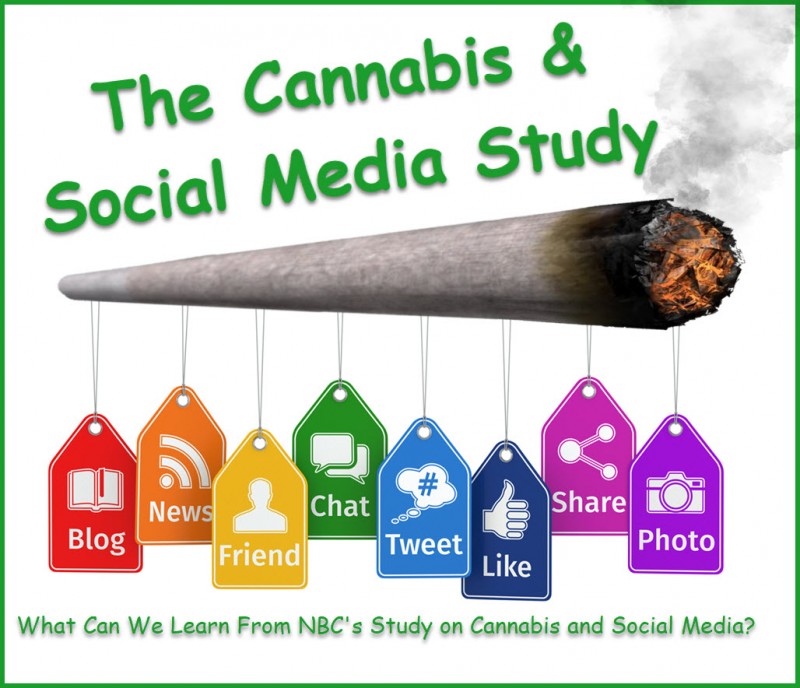 cannabis social media study