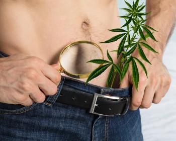 Does Marijuana Make Your Penis Bigger Or Just Look Bigger To Your Partner If He or She Is High?