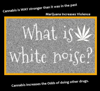 Common Misconceptions and Pseudo Facts of Marijuana - Cannabis White Noise