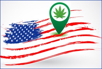Which States Have Medical Marijuana in 2022? - The Guide to the Rules and Regulations of Medical Marijuana
