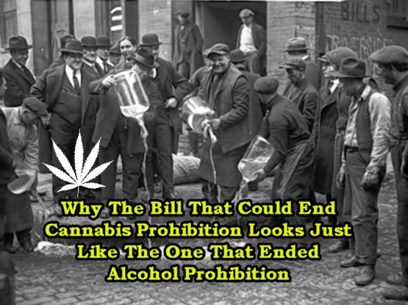 end marijuana prohibition