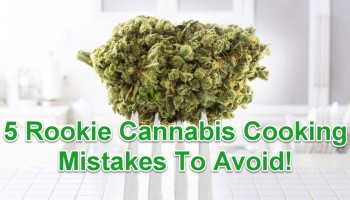 5 Rookie Cannabis Cooking Mistakes To Avoid!