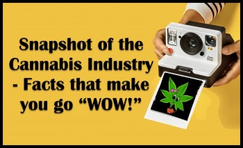 Snapshot of the Cannabis Industry - Facts That Make You Go WOW!