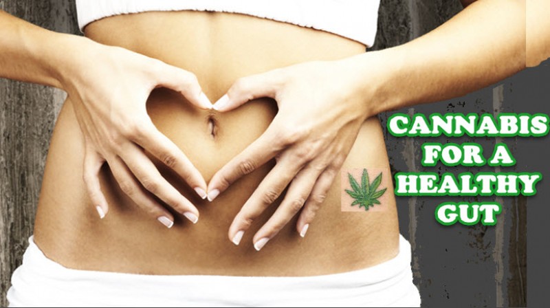 cannabis for a healthy gut