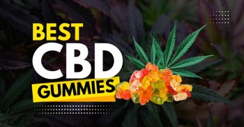 Best CBD Gummies in 2024 for Stress Relief, Pain Relief & Boosted Energy