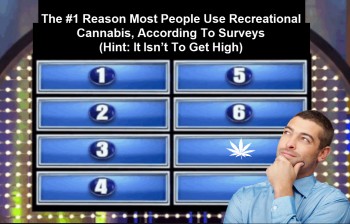 The Real Reason Most People Use Recreational Cannabis, According To Surveys (Hint: It Isn’t To Get High)