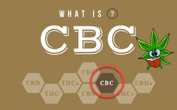 What is Cannabichromene (CBC)?