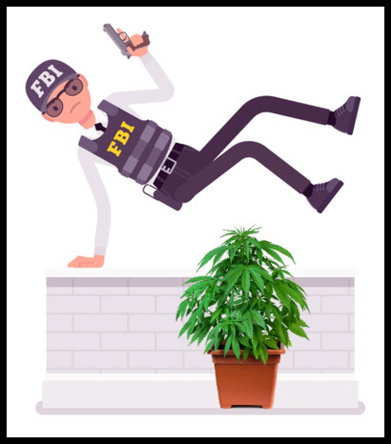 FBI arrests for weed