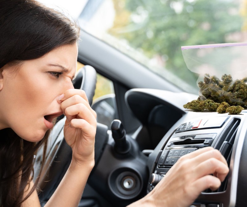 get weed smell out of car