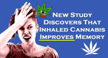 Inhaled Cannabis Improves Memory Says New Study
