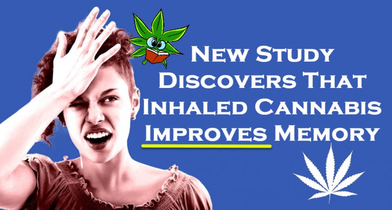 cannabis for improved memory