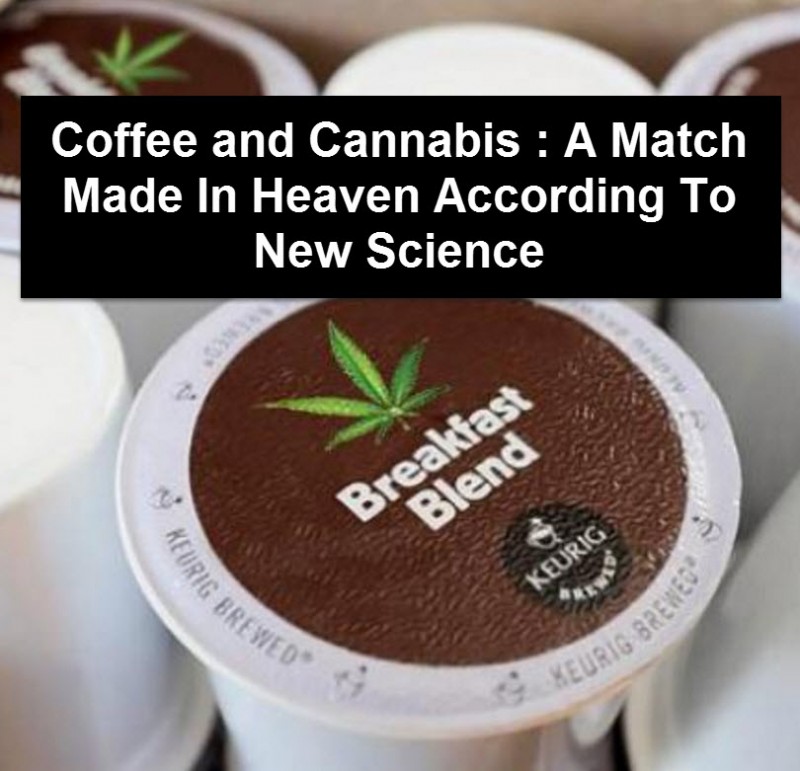 cannabis and coffee