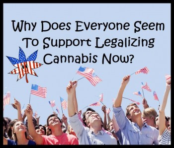 Why Does Everyone Seems to Support Legalizing Cannabis Now?