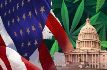 Let Cannabis Legalization Be Done State-By-State with No Federal Legalization? - Republican Plot Twist for the Weed Industry